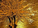 un freddo sole di notte
