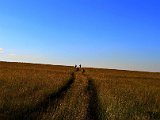 paesaggio 18