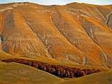 un'altro angolo di Castelluccio di Norcia
