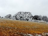 paesaggio 21 : neve ed altro
