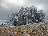paesaggio 22 : neve ed altro