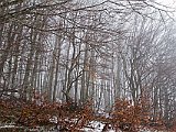 paesaggio 23