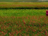 paesaggio 26