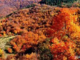 ....caldo autunno....