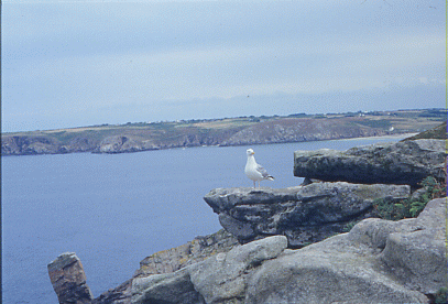 fr 31