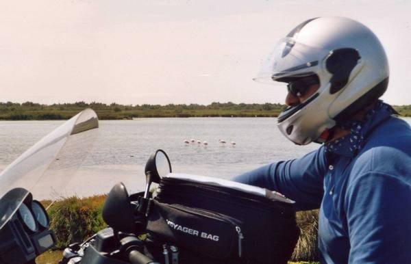 Image-39