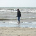 norm 2011 036