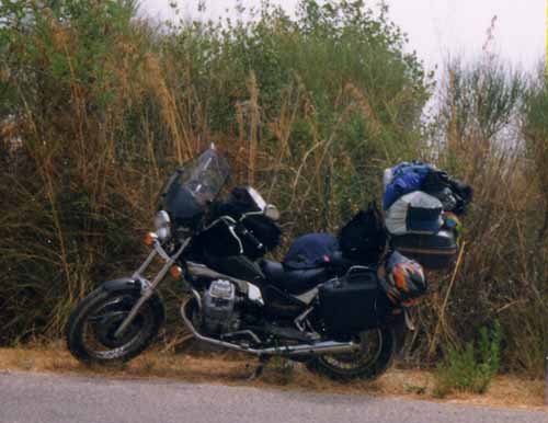 guzzi2