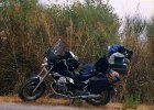 guzzi2